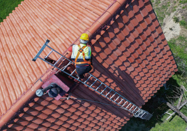 Best Asphalt Shingle Roofing  in Dewey Humboldt, AZ