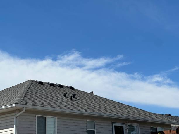 Best Sheet Metal Roofing  in Dewey Humboldt, AZ